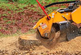 Best Tree Mulching  in Scottsboro, AL